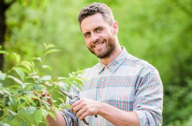 Growbox DIY – jak zrobic samodzielnie namiot uprawowy