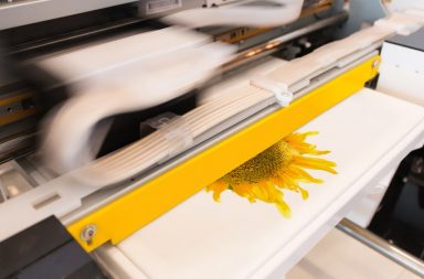 Bawelna drukowana – wlasciwosci i zastosowanie