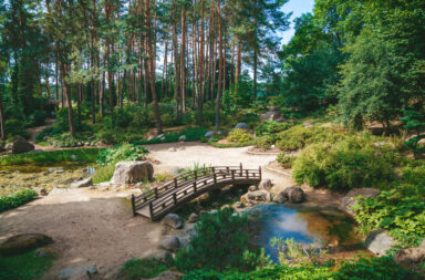 Cisza jako luksus: parki krajobrazowe koło Warszawy, gdzie naprawdę można odetchnąć