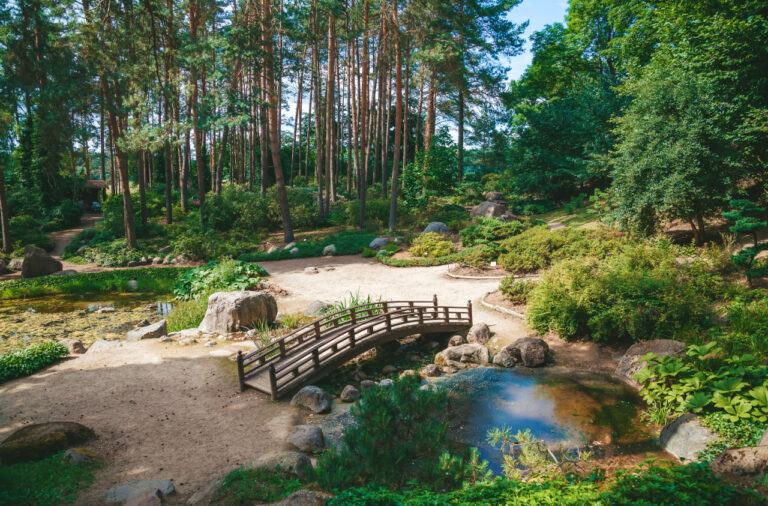 Cisza jako luksus: parki krajobrazowe koło Warszawy, gdzie naprawdę można odetchnąć
